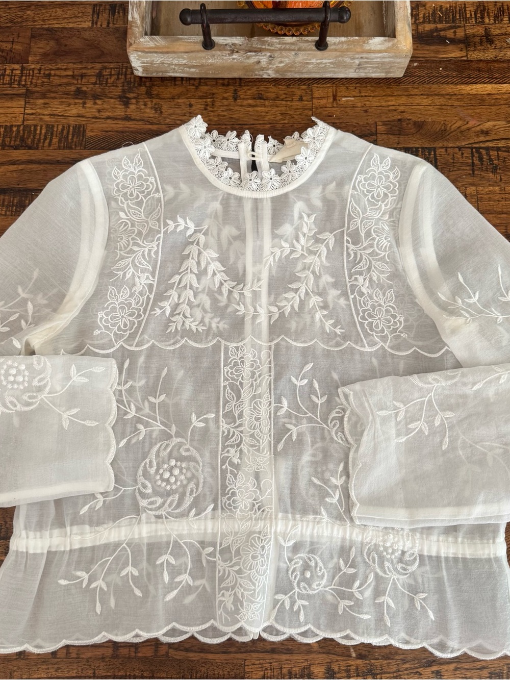 The Wallflower | Sheer White Embroidered Peasant Long Sleeve Blouse with tie